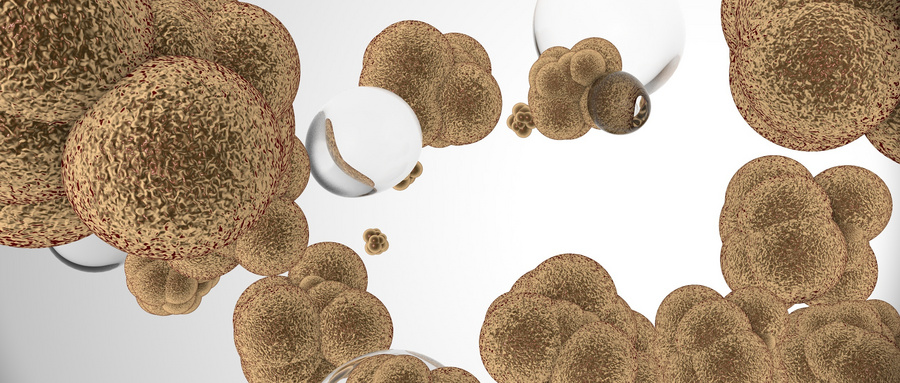 肠道菌群检测流程：科学标准确保微生态精准解析